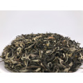 Natural Green jasmine in bloom fresh Flavored chinese tea